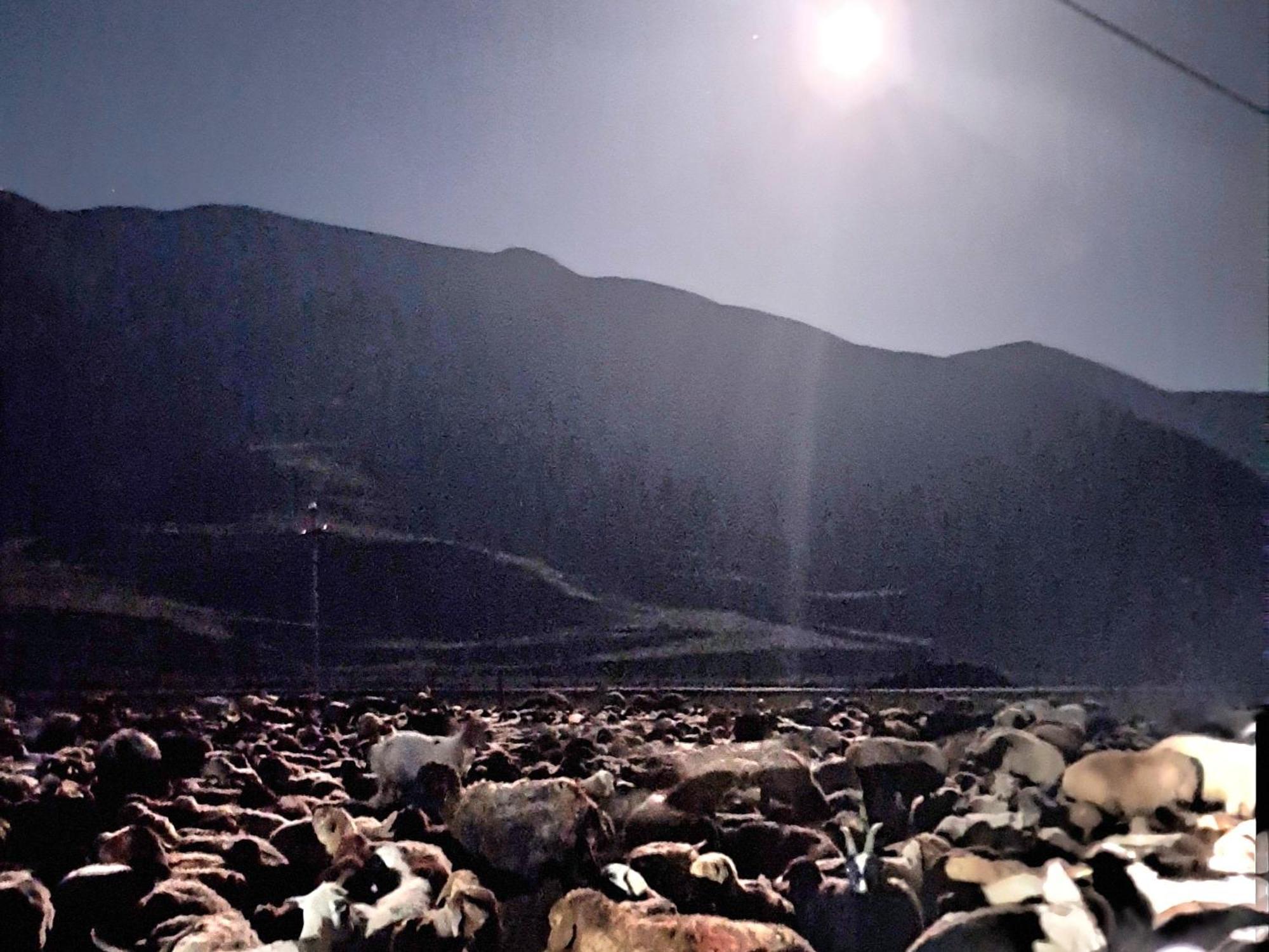 Xinaliq Khinalig Izzet'S Riverside Home Stay エクステリア 写真